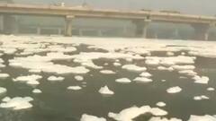 Delhi News: दिल्ली में यमुना नदी का बढ़ रहा प्रदूषण, दिल्ली जल बोर्ड ने हरियाणा को लिखा लेटर