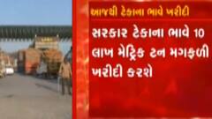 રાજ્યમાં આજે ટેકાના ભાવે મગફળીની ખરીદી શરુ, બે લાખ જેટલા ખેડૂતોએ કરાવ્યું રજીસ્ટ્રેશન, જુઓ ગુજરાતી ન્યુઝ