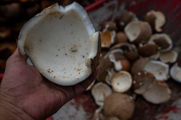 Benefits of Coconut Oil: ਜੇਕਰ ਤੁਹਾਡੇ ਚਿਹਰੇ ਦੀ ਰੰਗਤ ਘੱਟ ਰਹੀ ਹੈ ਜਾਂ ਤੁਸੀਂ ਦਾਗ-ਧੱਬਿਆਂ ਤੋਂ ਪ੍ਰੇਸ਼ਾਨ ਹੋ ਤਾਂ ਤੁਹਾਨੂੰ ਆਪਣੀ ਖੁਰਾਕ 'ਚ ਨਾਰੀਅਲ ਪਾਣੀ ਨੂੰ ਸ਼ਾਮਲ ਕਰਨਾ ਚਾਹੀਦਾ ਹੈ। ਇਸ ਨਾਲ ਤੁਹਾਡੀ ਪਾਚਨ ਕਿਰਿਆ ਠੀਕ ਰਹੇਗੀ ਤੇ ਤੁਹਾਡੇ ਚਿਹਰੇ 'ਤੇ ਕੁਦਰਤੀ ਚਮਕ ਵੀ ਆਵੇਗੀ।