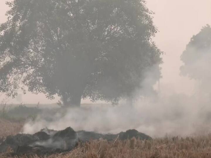 Stubble being burnt in Delhi Singhu village farmers says smoke from industrial area and vehicles causes air pollution Stubble Burning: दिल्ली के सिंघु गांव में जली पराली, किसान ने कहा- इंडस्ट्री और वाहनों से निकले धुएं से होता है प्रदूषण