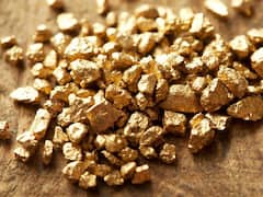 Kolkata: সোনা পাচারের মামলায় মুম্বই থেকে গ্রেফতার কলকাতার সোনা ব্যবসায়ী