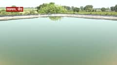 BEED : बीडमधील जळगावमध्ये जलक्रांती, दुष्काळाच्या झळा सोसणाऱ्या गावात फुलल्या फळबागा