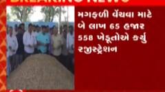 મગફળીની ટેકાના ભાવે ખરીદી, પ્રથમ દિવસે 122 ખેડૂતોએ 2 હજાર 409 કવીન્ટલ મગફળી ટેકાના ભાવે વેચી
