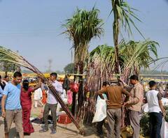 IN PICS | Chhath Puja 2021: Beautiful Photos Of Worshippers At Riverbanks & Shopping For Arghya