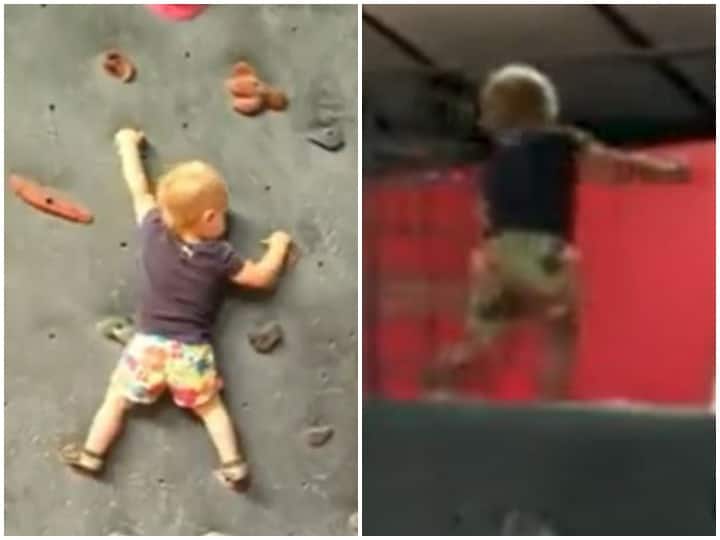 Viral Video: Anand Mahindra ने शेयर किया दीवार पर चढ़ रहे बच्चे का वीडियो, सोशल मीडिया पर हुआ वायरल Anand Mahindra shared a video of a child climbing a wall Viral Video: Anand Mahindra ने शेयर किया दीवार पर चढ़ रहे बच्चे का वीडियो, सोशल मीडिया पर हुआ वायरल