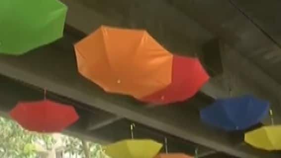 સુરતઃ ગૃહરાજ્ય મંત્રીના ઘર પાસેથી બ્યુટિફીકેશન માટે મુકાયેલ છત્રીઓ થઈ ગાયબ