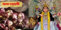 Jagaddhatri Pujo 2021 : আজ জগদ্ধাত্রীপুজোর ষষ্ঠী, জানুন দেবী মহিমা, কীভাবে বাংলায় শুরু হল এই পুজো