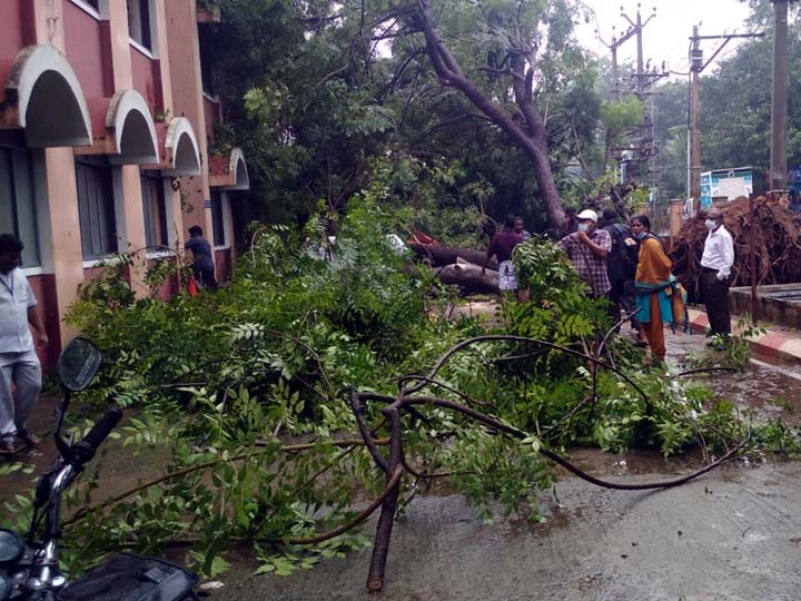 தஞ்சாவூரில் மழையால் சுவர் இடிந்து விழுந்து சிறுமி உயிரிழப்பு