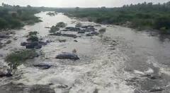 தொடர் மழை காரணமாக தென்பெண்ணை ஆற்றில் நீர்வரத்து அதிகரிப்பு - விவசாயிகள் மகிழ்ச்சி.