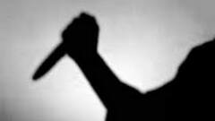 North 24 Pargana: পাড়ার মধ্যে ৩ যুবকের উপর ধারালো অস্ত্র দিয়ে 'এলোপাথাড়ি কোপ' নেশাগ্রস্ত যুবকের| Bangla News