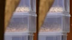 ન્યૂઝરૂમ લાઈવઃ ડ્રગ્સ માફિયાઓ હવે પોલીસની રડારમાં, ડ્રગ્સ કેસમાં શું થયા ઘટસ્ફોટ?