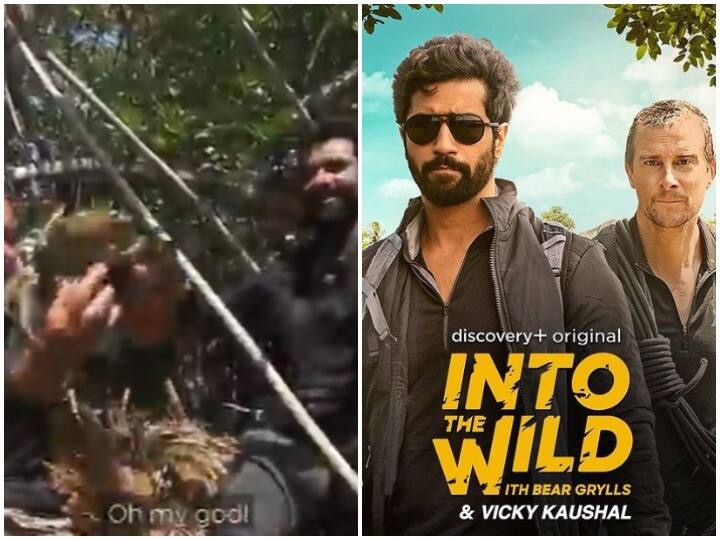 Into The Wild With Bear Grylls promo, where Vicky Kaushal eats freshest crab...watch out the video Vicky Kaushal ने Bear Grylls के साथ खाया जिंदा केकड़ा!  Into The Wild में विक्की का एडवेंचर