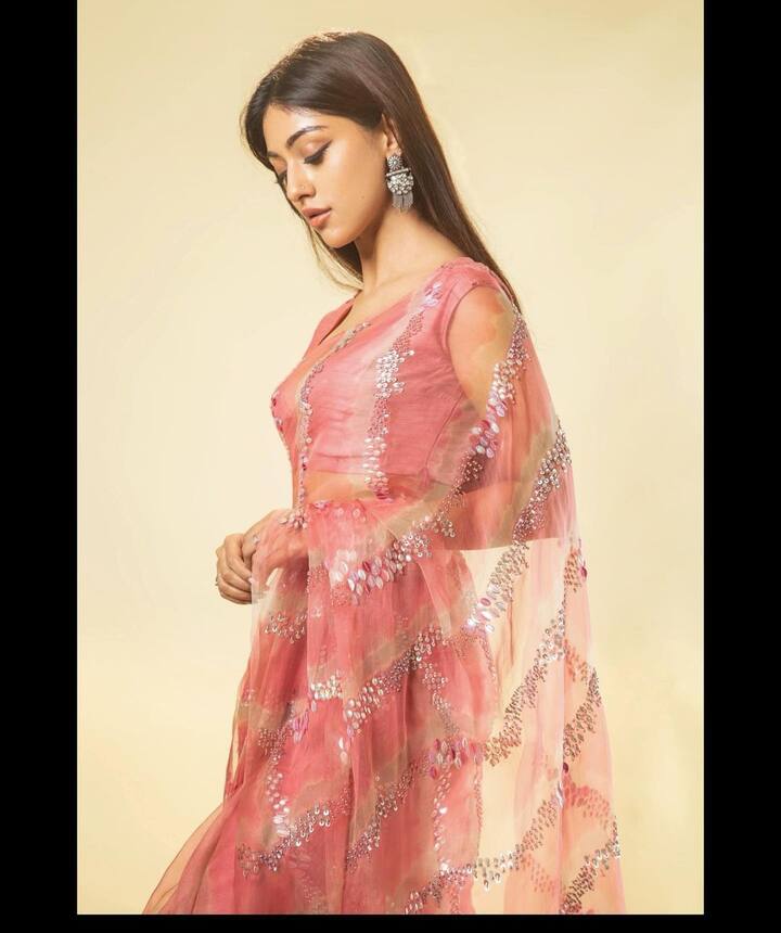 అను ఇమ్మాన్యుయేల్ (Image Credit/ Anu Emmanuel Instagram)