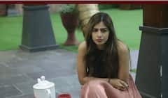 Big Boss Marathi 3 : मीरा सोनालीवर का चिडली?