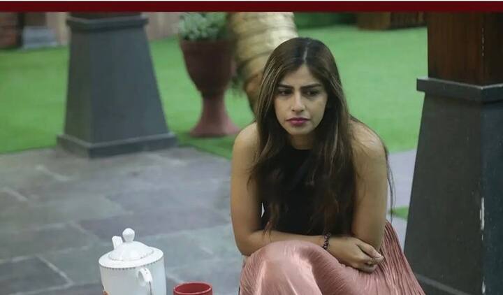 बिग बॉस मराठी आणि त्यातल्या टास्कची चर्चा नेहमीच रंगत असते. मग तो हिंदी बिग बॉस असो वा मराठी.