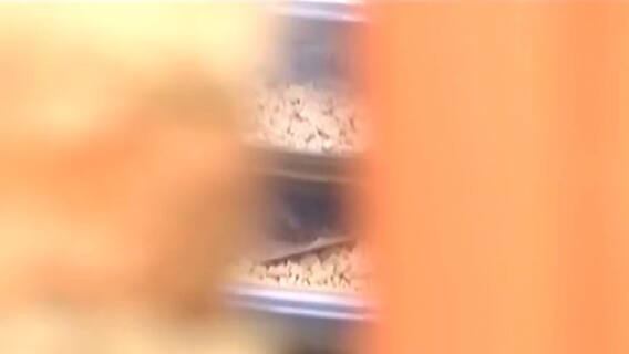 Gujarat drugs Case : गुजरातच्या द्वारकामधून तब्बल 350 कोटी ड्रग्ज जप्त ABP Majha