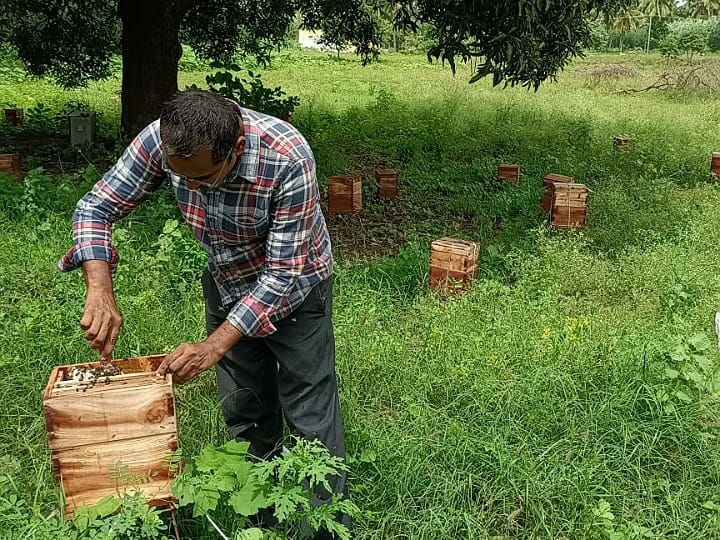 இதிலெல்லாம் அதிக லாபம்.. தேனீக்களுடன் கொஞ்சி விளையாடும் பட்டதாரி இளைஞரின் அட்வைஸ்..