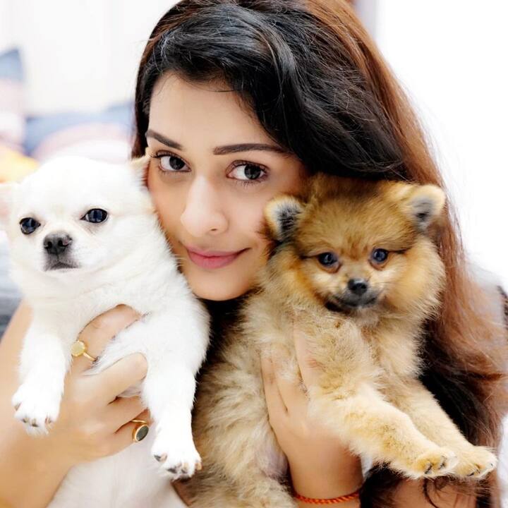 క్యూట్ కుక్కపిల్లలతో పాయల్ (Image credit: Instagram)