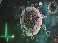 COVID-19 Update: ব্রিটেনে করোনা আক্রান্ত পোষ্য সারমেয়