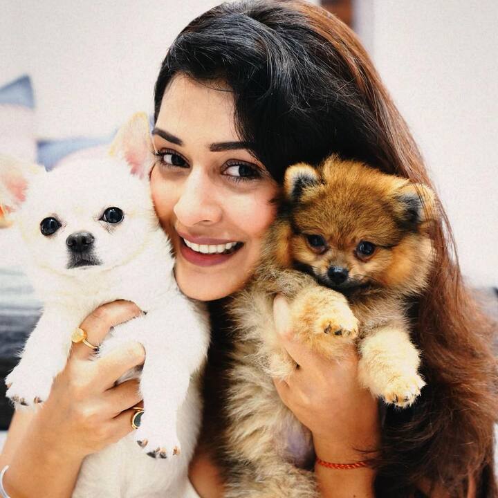 క్యూట్ కుక్కపిల్లలతో పాయల్ (Image credit: Instagram)