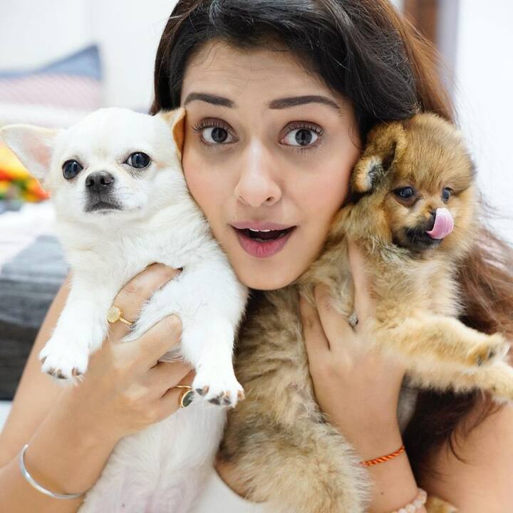 క్యూట్ కుక్కపిల్లలతో పాయల్ (Image credit: Instagram)