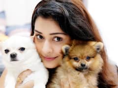 Payal Rajputh Photos: తన బుజ్జి పప్పీలతో హాట్ బ్యూటీ పాయల్...
