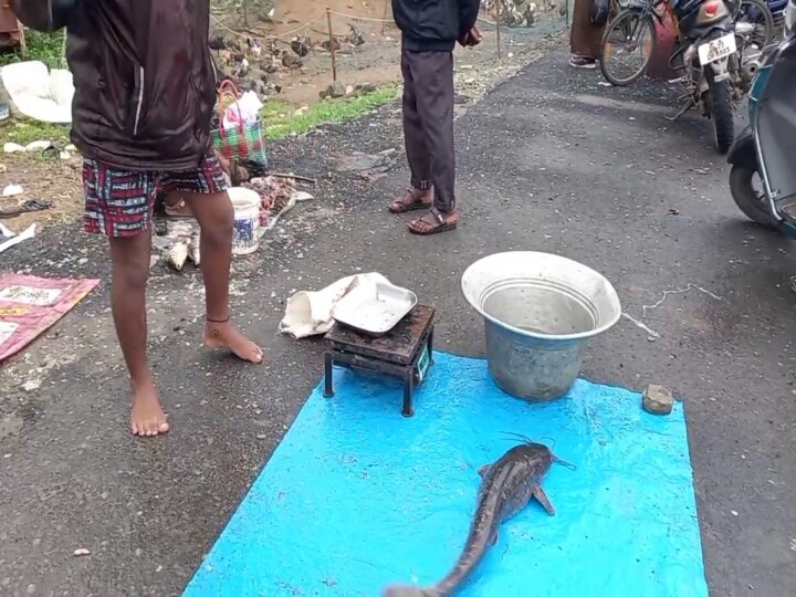 அணைய திறந்தா மீன் பிடிக்றாங்க.! ரெட் அலர்டுக்கு நடுவே செம்பரம்பாக்கத்தில் மீன் விற்பனை!