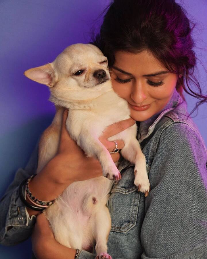 చిహువాహువా జాతికి చెందిన రెండు కుక్కపిల్లల్ని పెంచుకుంటోంది. వాటిని ముద్దు చేయడంలో చాలా బిజీగా ఉంటుంది పాయల్. (Image credit: Instagram)