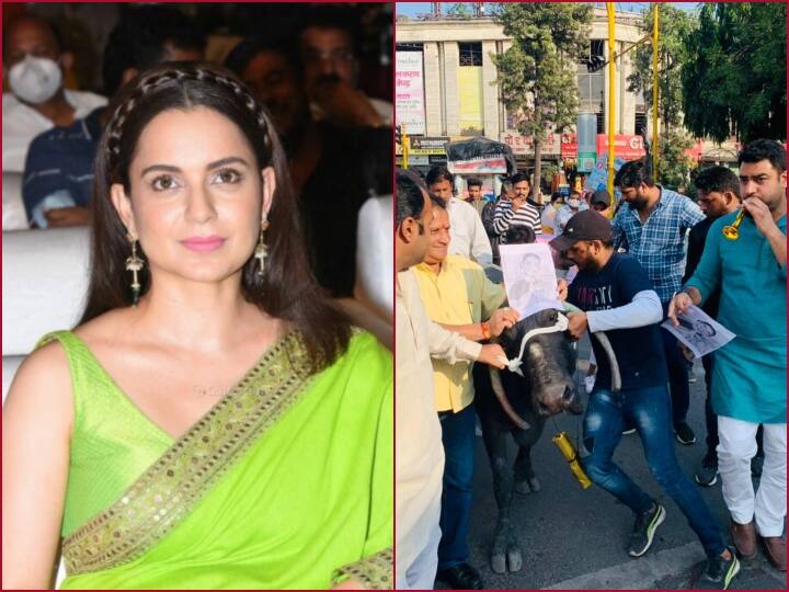 Indore News Youth Congress protests against Kangana Ranaut statement ANN Kangana Ranaut Statement: कंगना रनौत के बयान के विरोध में यूथ कांग्रेस का प्रदर्शन, भैंस के आगे बजाई बीन