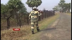 BSF: স্বরাষ্ট্রসচিবের রাজ্য সফরের দিনেই কোচবিহার সীমান্তে বিএসএফের গুলি, মৃত ৩| Bangla News