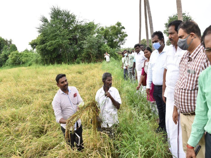 ’’மதுரையில் குறைந்தளவே பயிர்சேதம்; விரைவில் நிவாரணம்’’ - வணிகவரித்துறை அமைச்சர் மூர்த்தி