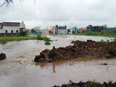 திருவண்ணாமலை : கனமழையால் 652 ஏரிகள் நிரம்பின.. வீட்டினுள் தண்ணீர் புகுந்ததால் பொதுமக்கள் அவதி..