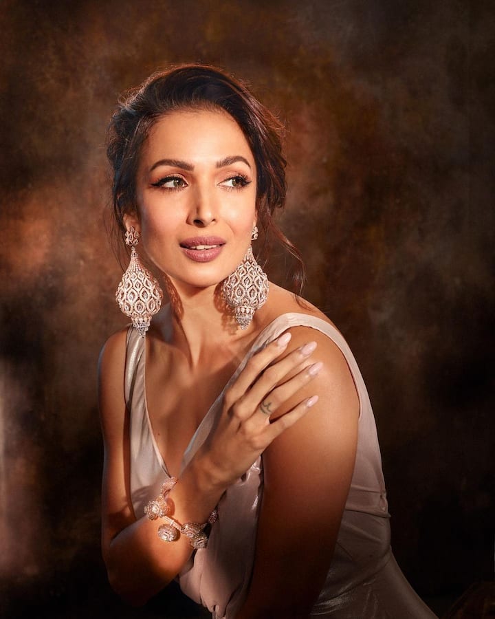 మలైకా అరోరా ( Image Credit/ Malaika Arora Instagram)
