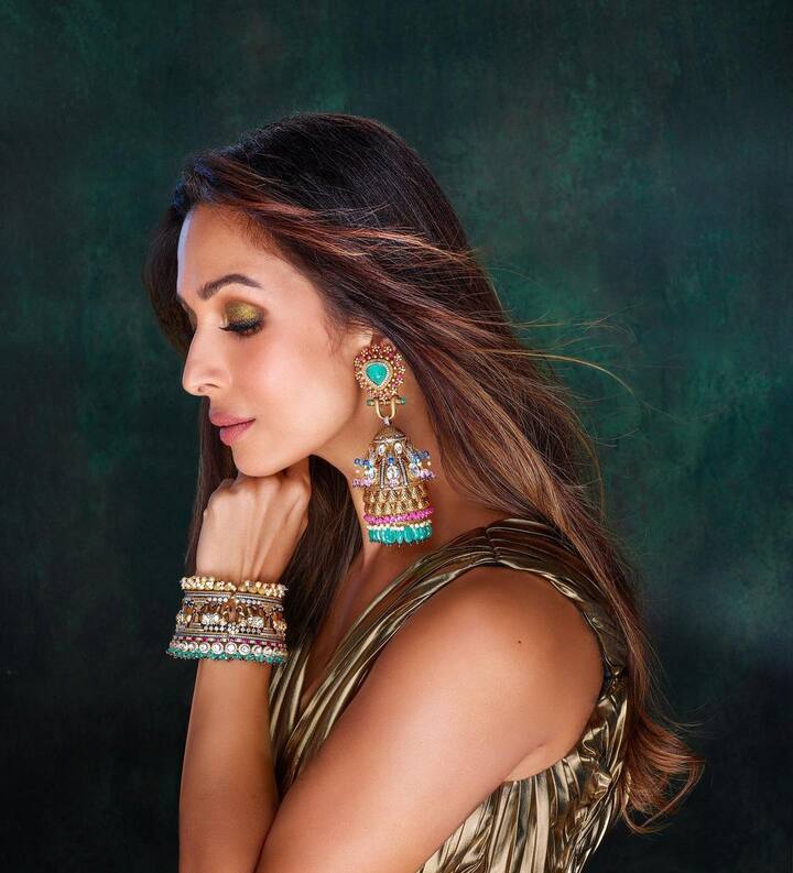 మలైకా అరోరా ( Image Credit/ Malaika Arora Instagram)