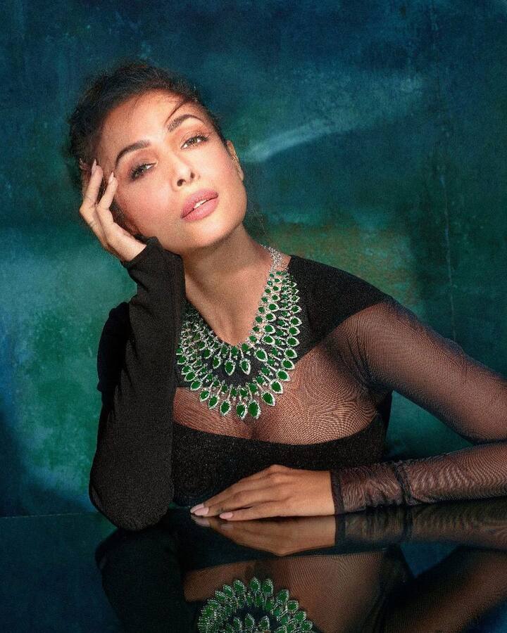 మలైకా అరోరా ( Image Credit/ Malaika Arora Instagram)