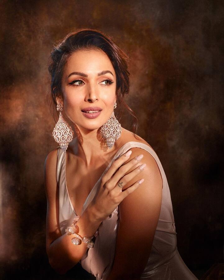 మలైకా అరోరా ( Image Credit/ Malaika Arora Instagram)