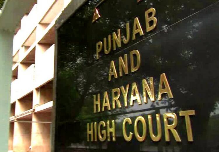 Punjab and Hariyana High court denies bail to rape accused who said they lived in live in relationship and it was consensual `முந்தைய பாலியல் உறவுகளை வைத்து வன்கொடுமையை நியாயப்படுத்த முடியாது!’ - பஞ்சாப் உயர்நீதிமன்றம்!