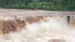 ડાંગ જિલ્લો ગુજરાતનો પ્રથમ પ્રાકૃતિક જિલ્લો બનશે, 19 નવેમ્બરે સત્તાવાર જાહેરાત