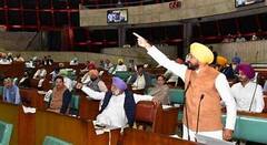 Bangla News: BSF-র কাজের পরিসর বৃদ্ধি নিয়ে কেন্দ্রের সিদ্ধান্তের বিরুদ্ধে পাঞ্জাব বিধানসভায় প্রস্তাব পাস