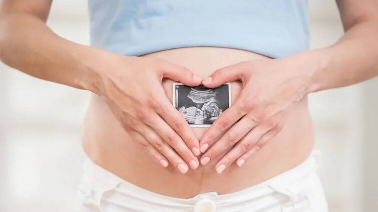 women-health-tips-miscarriage-reasons-and-prevention Pregnancy Tips: ਗਰਭਪਾਤ ਦਾ ਖਤਰਾ ਵਧਾ ਸਕਦੀਆਂ ਆਹ ਗਲਤੀਆਂ, ਸਿਹਤਮੰਦ ਬੱਚੇ ਲਈ ਅੱਜ ਹੀ ਸੁਧਾਰ ਲਓ ਆਹ ਆਦਤਾਂ