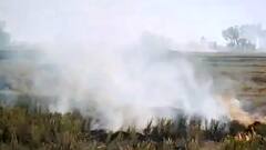 Delhi Pollution: प्रदूषण से 'घर-घर बीमार, हर घर बीमार' ! | मास्टर स्ट्रोक | 12.11.2021