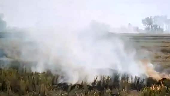 Delhi Pollution: प्रदूषण से 'घर-घर बीमार, हर घर बीमार' ! | मास्टर स्ट्रोक | 12.11.2021