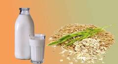 Benefits Of Oats: প্রতিদিন এক বাটি ওটস খেলে কমবে ওজন, দূর হবে কোষ্ঠকাঠিন্যের সমস্যা