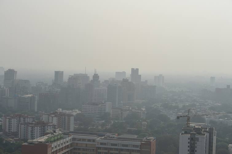 Blog On Delhi Pollution: Who is responsible for delhi air pollution आखिर कौन है दिल्ली की हवा को जहरीला बनाने का कसूरवार?