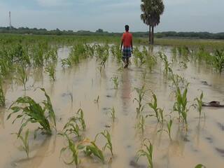 ਖੇਤੀਬਾੜੀ ਖੇਤਰ 'ਚ ਵਧੀਆ ਕਰੀਅਰ ਦੀ ਸੰਭਾਵਨਾ, ਜਾਣੋ ਡਿਟੇਲ 'ਚ