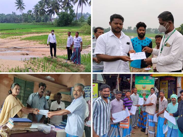 Officials inspect crops flooded in Villupuram district due to continuous rains ABP IMPACT | விழுப்புரத்தில் வெள்ளத்தில் மூழ்கிய பயிர்கள் குறித்து அதிகாரிகள் நேரில் ஆய்வு!