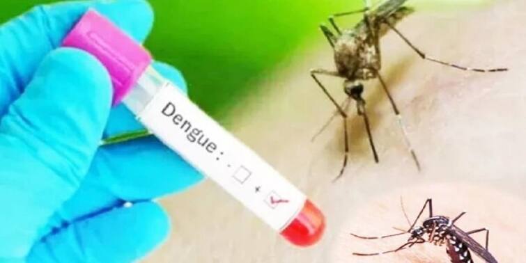 Delhi dengue News update, After the confirmation of 2 more dengue deaths in Delhi, the figure reached 17 Delhi Dengue Cases: दिल्ली में डेंगू से 2 और मौतों की पुष्टि के बाद आंकड़ा 17 पर पहुंचा, जानिए इस हफ्ते का हाल