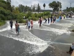 Nellore: ఓసి మీ దుంపతెగ.. కాసేపు ఆగండయ్యా.. చేపలు పట్టుకున్నాక వెళ్లండయ్యా..