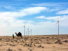 Rajasthan Weather Report: राजस्थान में मौसम रहेगा साफ, इन शहरों में गिरा पारा, हवा साफ