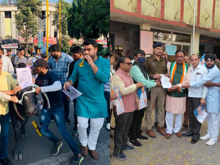 Indore: Strong protest against actress Kangana Ranaut, Youth Congress played bean in front of buffalo ANN इंदौर: एक्ट्रेस Kangana Ranaut का जबरदस्त विरोध, यूथ कांग्रेस ने भैंस के आगे बजाई बीन, फांसी देने की हो रही मांग